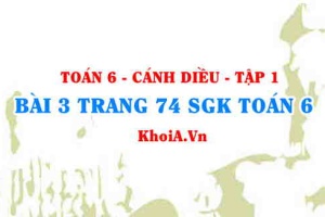 Bài 3 trang 74 SGK Toán 6 tập 1 Cánh Diều